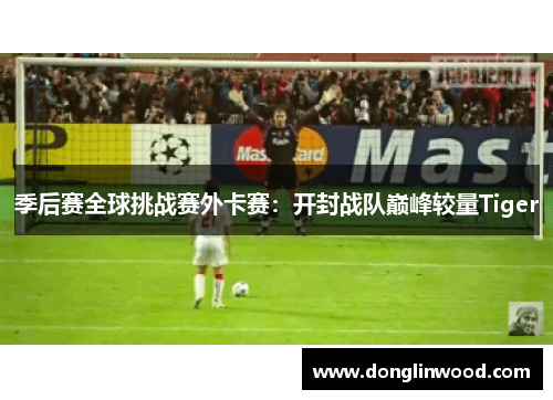 季后赛全球挑战赛外卡赛：开封战队巅峰较量Tiger