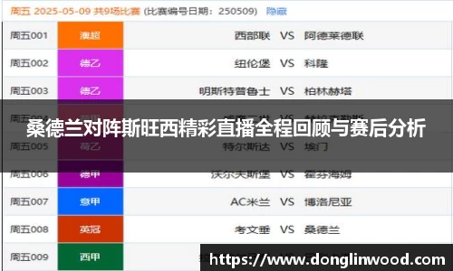 桑德兰对阵斯旺西精彩直播全程回顾与赛后分析
